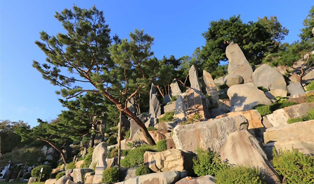 Trees planted within the rock landscape in Wolmyeongdong jut out to give the rock landscape a 3-D feel